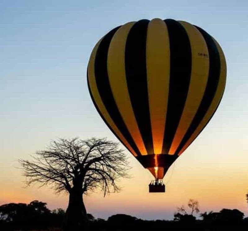 Billet Safari en montgolfière - 3 jours - Serengeti et Ngorongoro