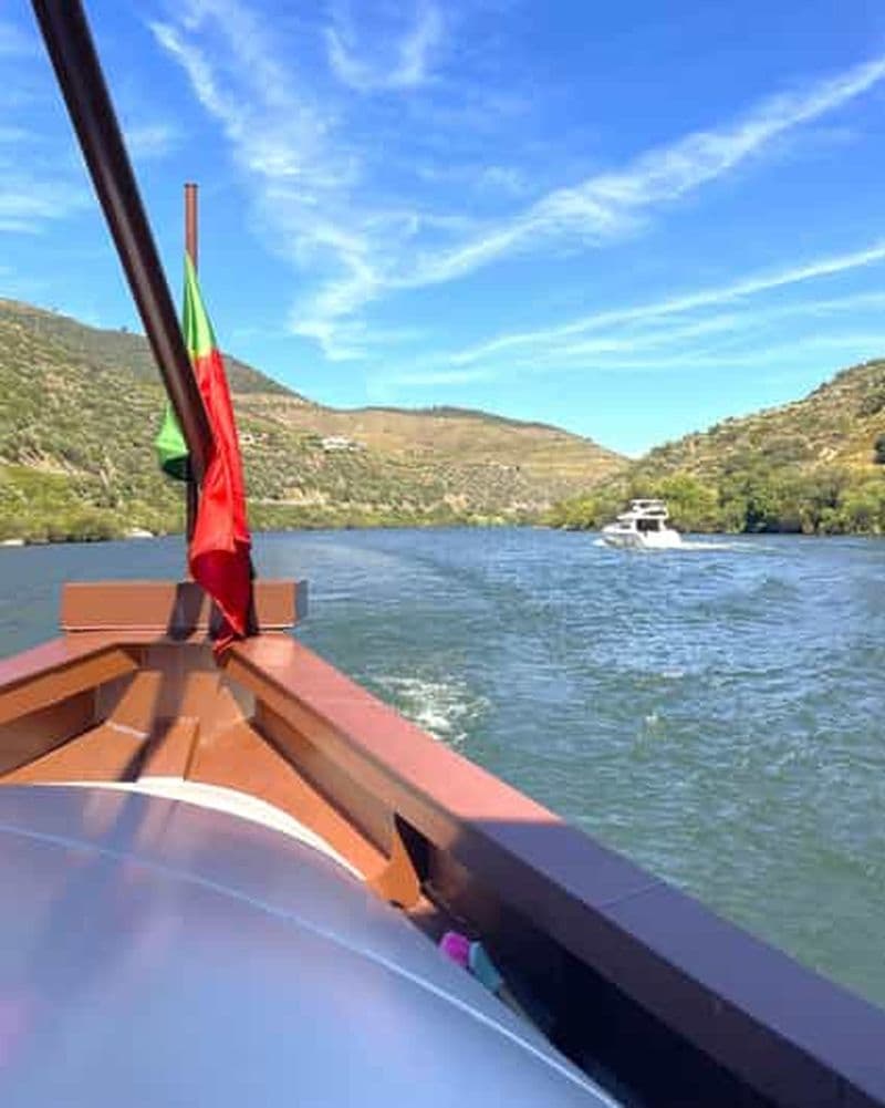 Billet Depuis Porto : Visite de la vallée du Douro, 2 vignobles, déjeuner et croisière.