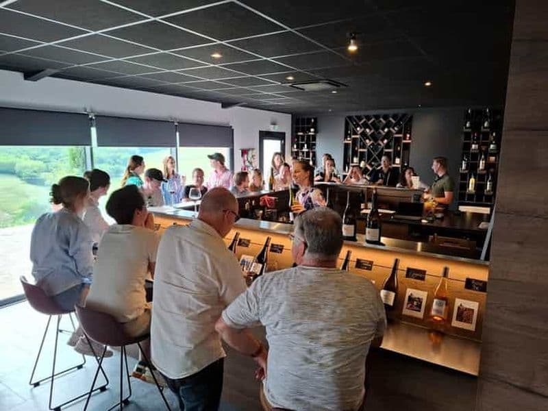 Billet Au départ de Lyon : Circuit d'une demi-journée sur la route des vins du Beaujolais