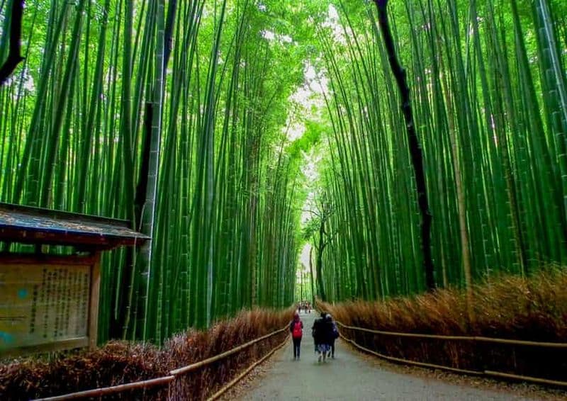 Billet Kyoto : Visite privée personnalisable des jardins japonais