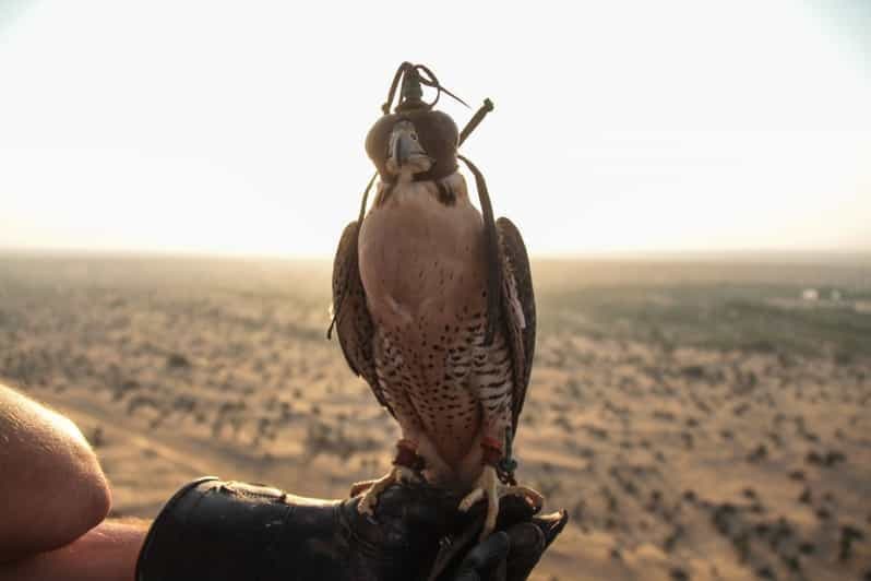 Billet Dubaï : Vol en montgolfière avec balade en VTT, à dos de chameau et à cheval
