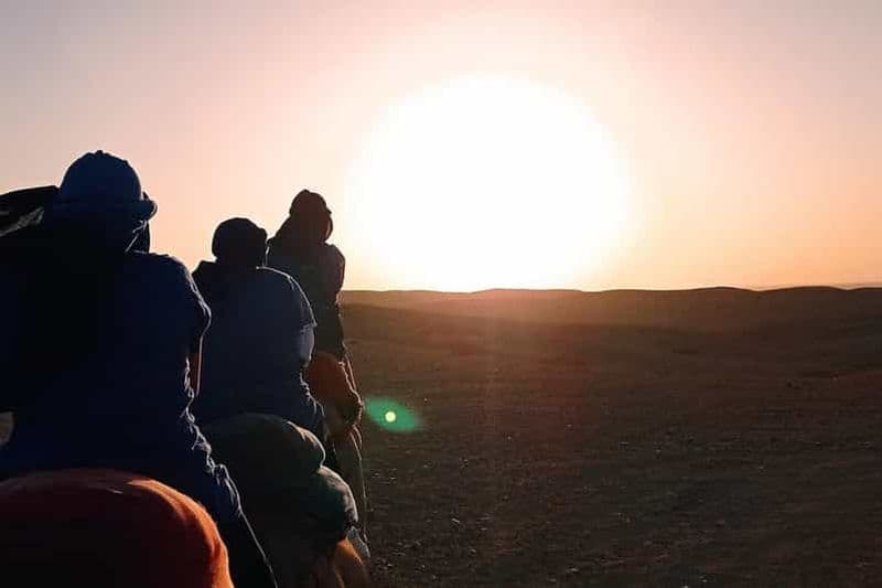 Billet Faites l'expérience d'une excursion à dos de chameau à travers l'oasis de Palm et le désert de Jbilat