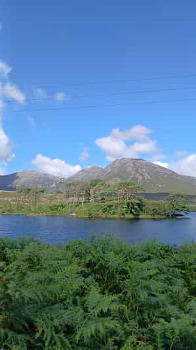 Billet Depuis Galway : La scène musicale et les pubs de la ville et les randonnées dans le Connemara