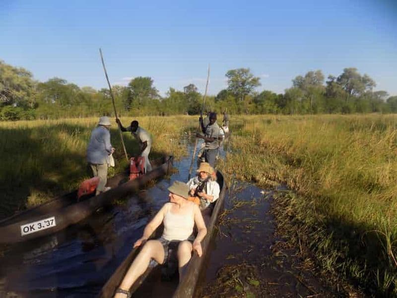 Billet excursion d'une journée en mokoro dans le delta de l'okavango