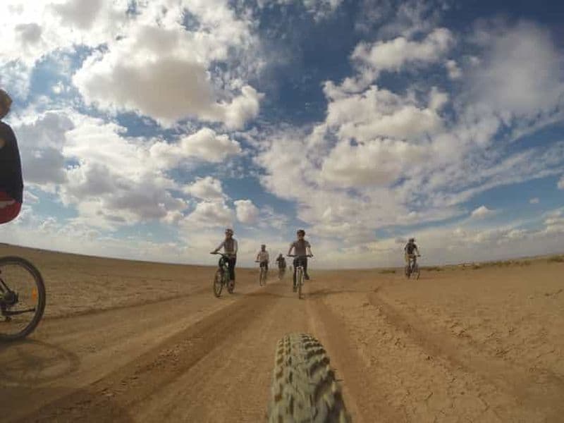 Billet Amman : Les châteaux du désert d'Azraq et les zones humides à vélo