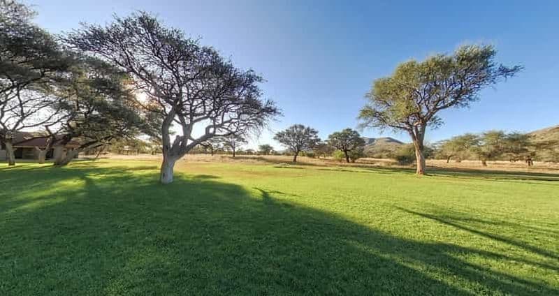 Billet Depuis Windhoek : Excursion d'une journée à Okapuka Safari Lodge