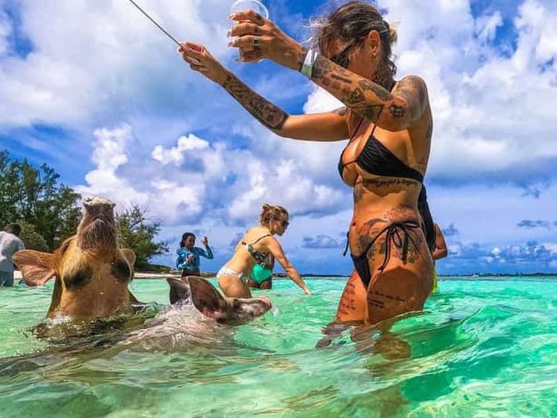 Billet PLAGE DE COCHONS D'ATHOL ISLAND EXPRESS 1.5HR BATEAU-TAXI NASSAU