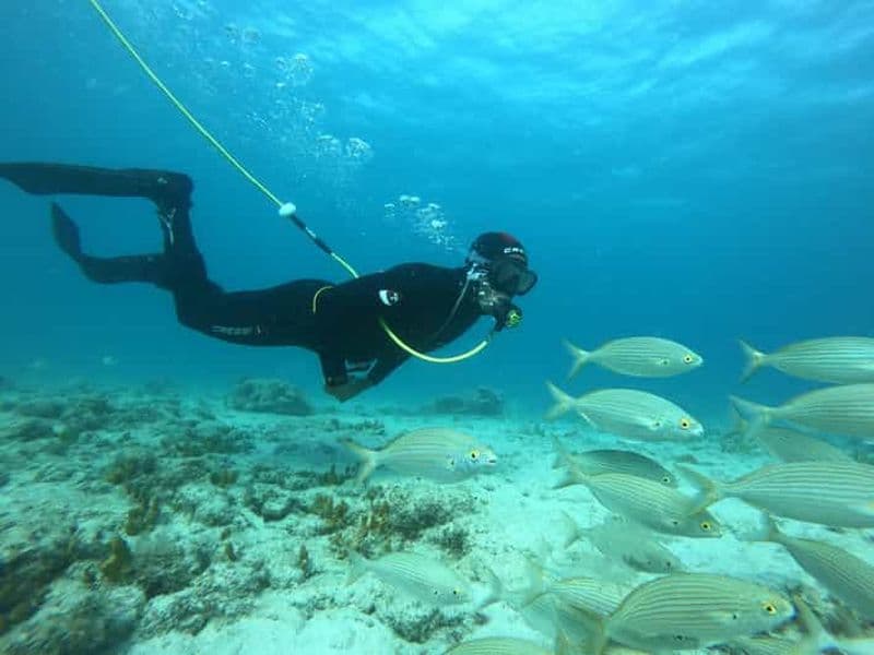 Billet Corralejo : tour en bateau avec plongée pour débutants et snorkeling sur l'île de Lobos