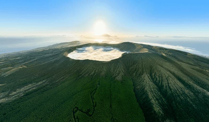 Billet FAIAL UNIQUE | Baleines et volcans | 2 demi-journées