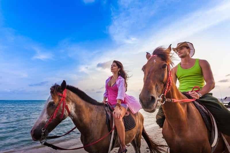 Billet Agadir : randonnée à cheval, visite de la rivière des flamants roses et dégustation de thé