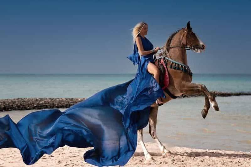 Billet Hurghada : Excursion à cheval dans la mer Rouge et le désert avec baignade