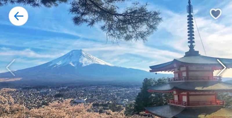 Billet Au départ de Tokyo : Excursion privée au Mont Fuji et au lac Kawaguchi