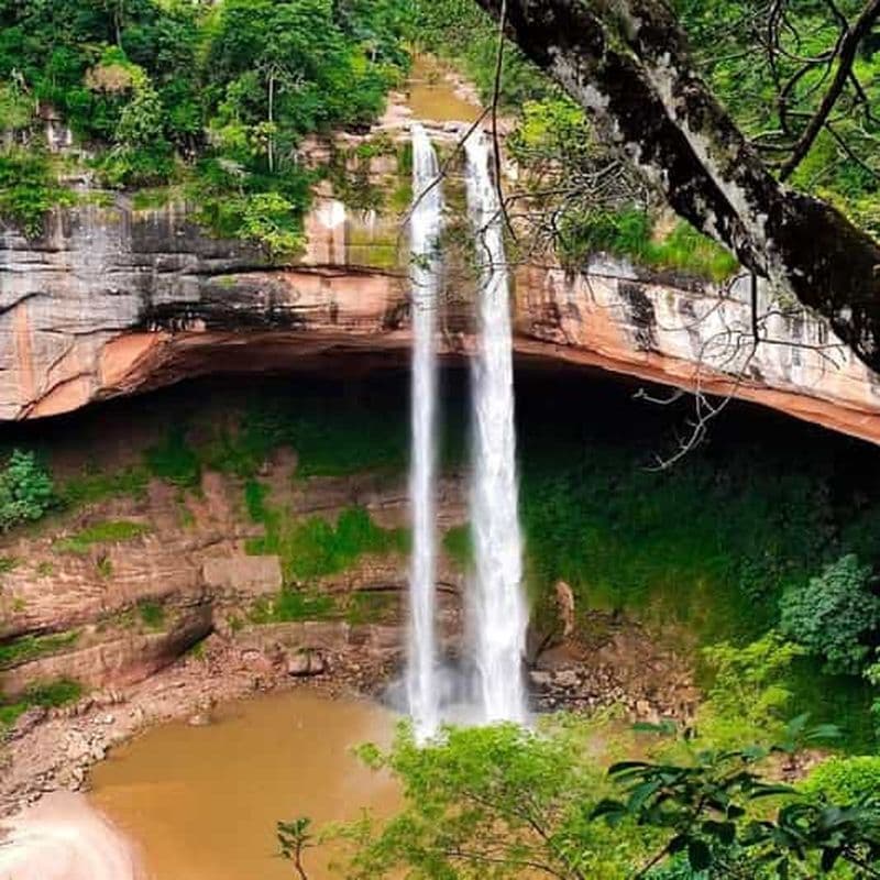 Billet Excursion d'une journée à Amboro, Jardin de las Delicias