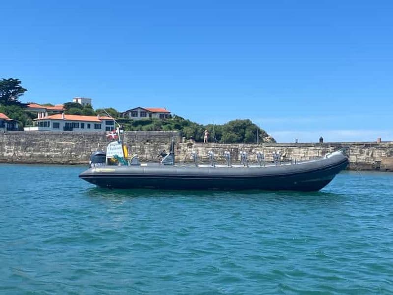 Billet Socoa, Saint-Jean-de-Luz: croisière de 2h30 le long de la côte basque