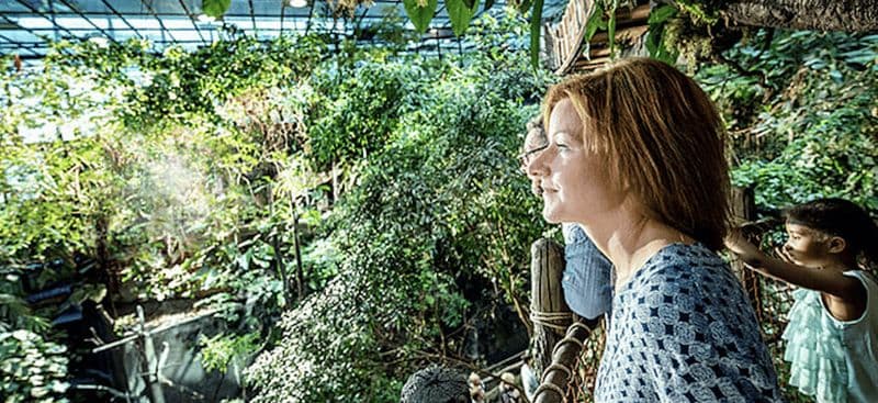 Billet Billets d'entrée à l'Universeum de Göteborg avec prise en charge