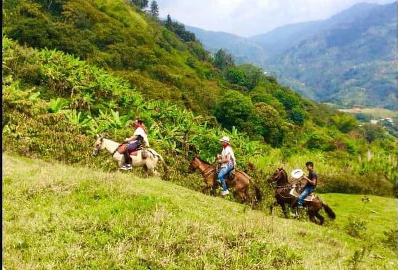 Billet Medellín : Authentique randonnée à cheval en Colombie