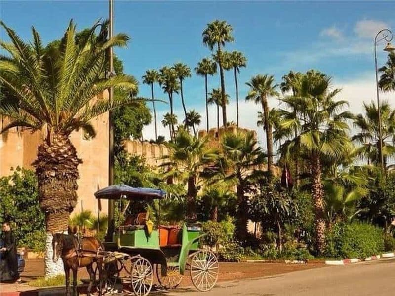 Billet Excursion dans les oasis de Taroudant et Tiout avec déjeuner