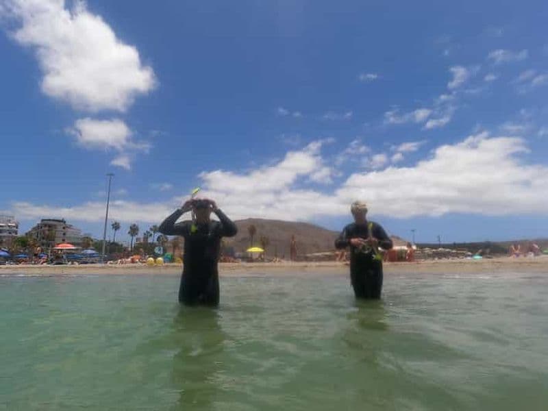 Billet Plongée en apnée à Ténérife Sud : Découvrez le monde sous-marin