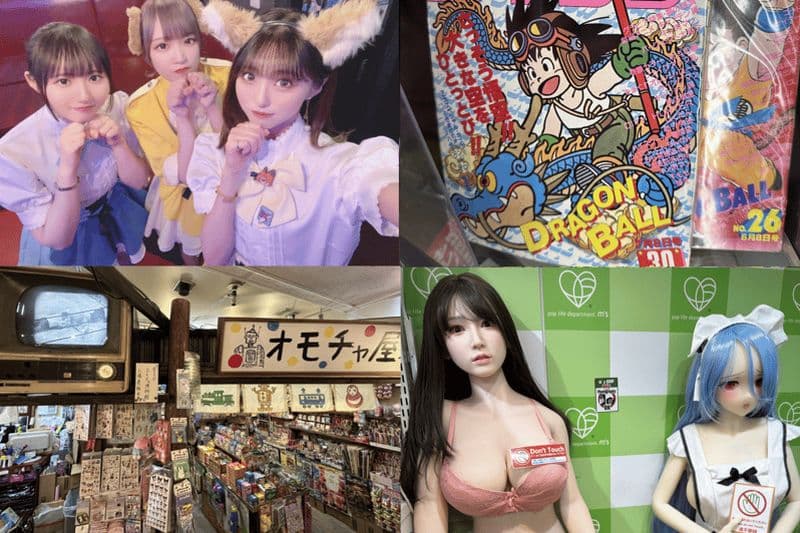 Billet Visite privée de Akihabara Anime Game Maid Cafe Tour avec prise en charge gratuite