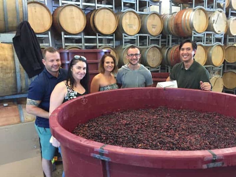 Billet Au départ de Canberra : visite d'un vignoble, d'une distillerie et dégustation avec déjeuner