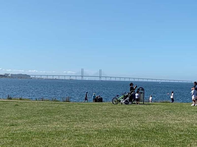 Billet Malmö : Visite guidée à pied de 3 heures