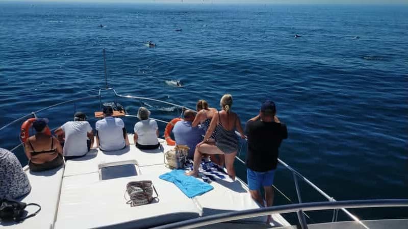 Billet Fuengirola : Excursion en bateau pour repérer les dauphins avec boissons et collations
