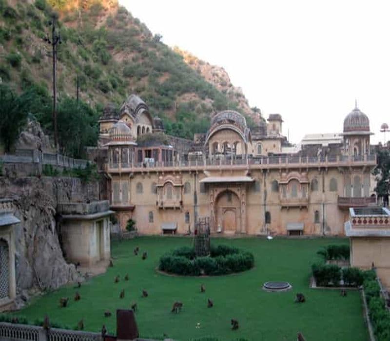 Billet Jaipur : Visite d'une journée avec balade à dos de chameau et temple des singes