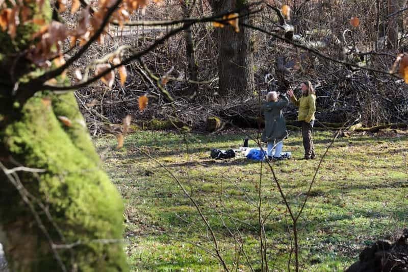 Billet Skåne : randonnée guidée dans le parc national avec déjeuner près de Lund