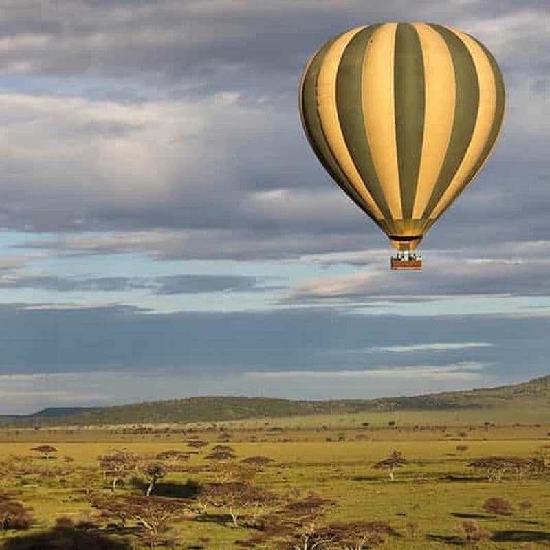 Billet Admirez la majesté du Serengeti : safari en montgolfière