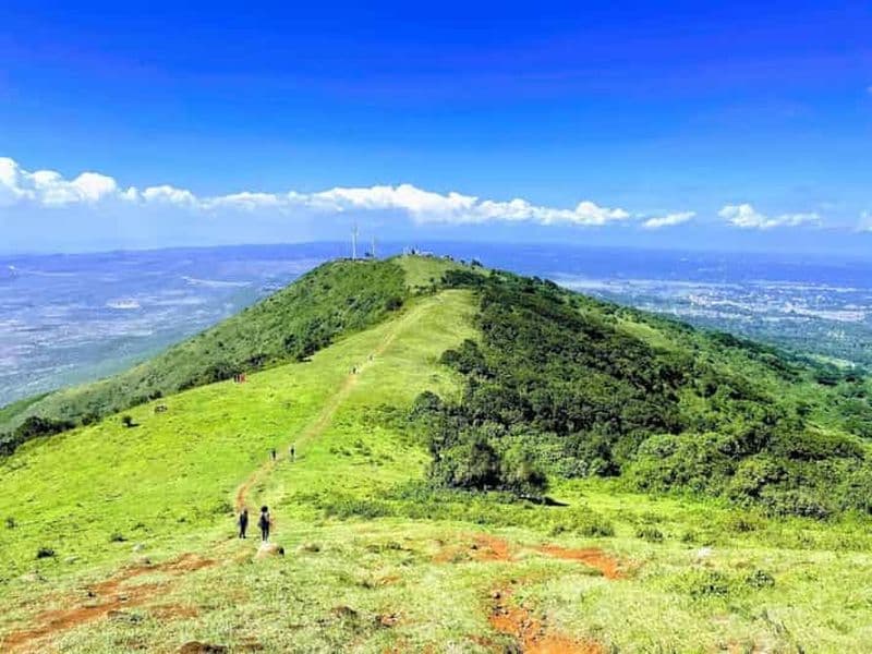 Billet Nairobi : randonnée guidée dans les collines de Ngong