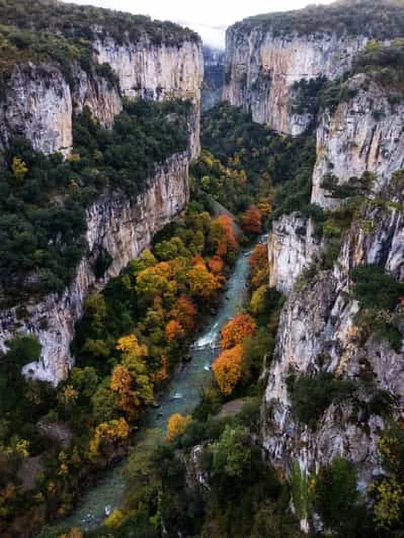 Billet Excursion JOURNÉE COMPLÈTE : Forêt d'Irati et Ochagavía