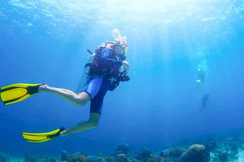 Billet Depuis Dubaï : Fujairah - Plongée sous-marine et snorkeling
