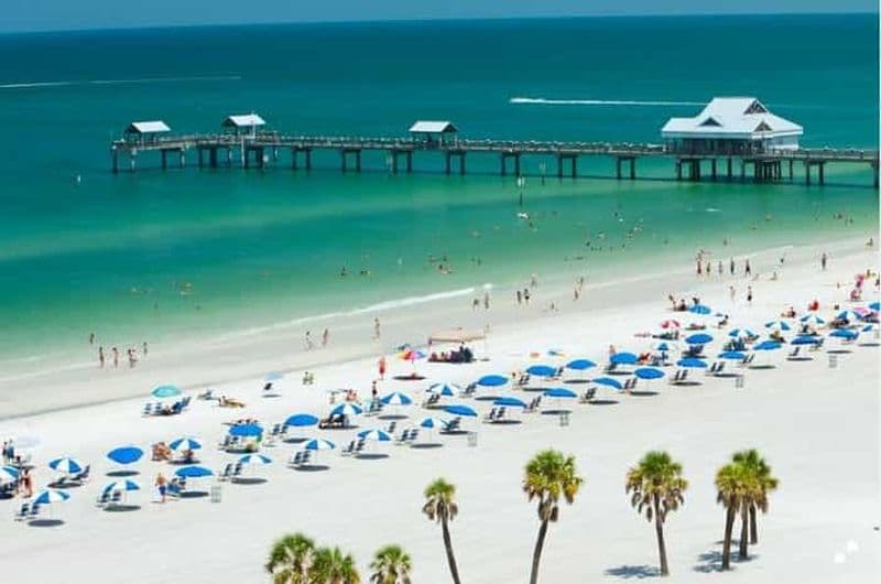 Billet Depuis Orlando : Clearwater Beach et entrée à l'aquarium marin