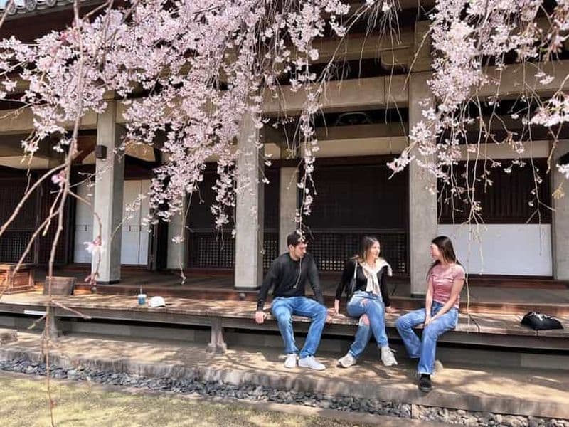 Billet Visite à pied de la vieille ville de Yanaka à Tokyo (visite privée avec guide local)