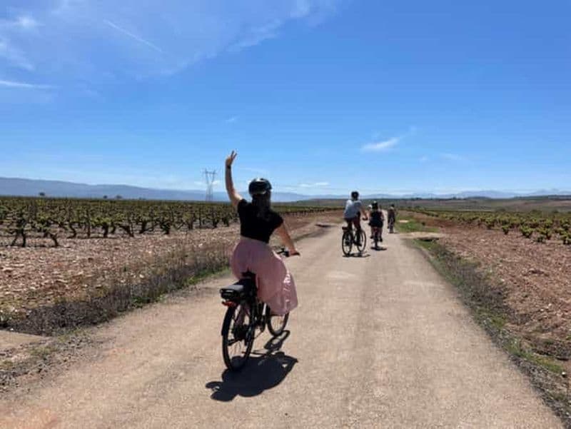 Billet Au départ de Bilbao : Tour des vins de La Rioja en E-Bike avec dégustations de vins
