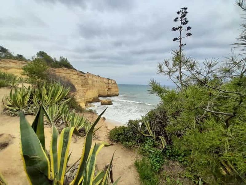 Billet Albufeira : Visite des falaises de l'Algarve et de la chapelle des ossements