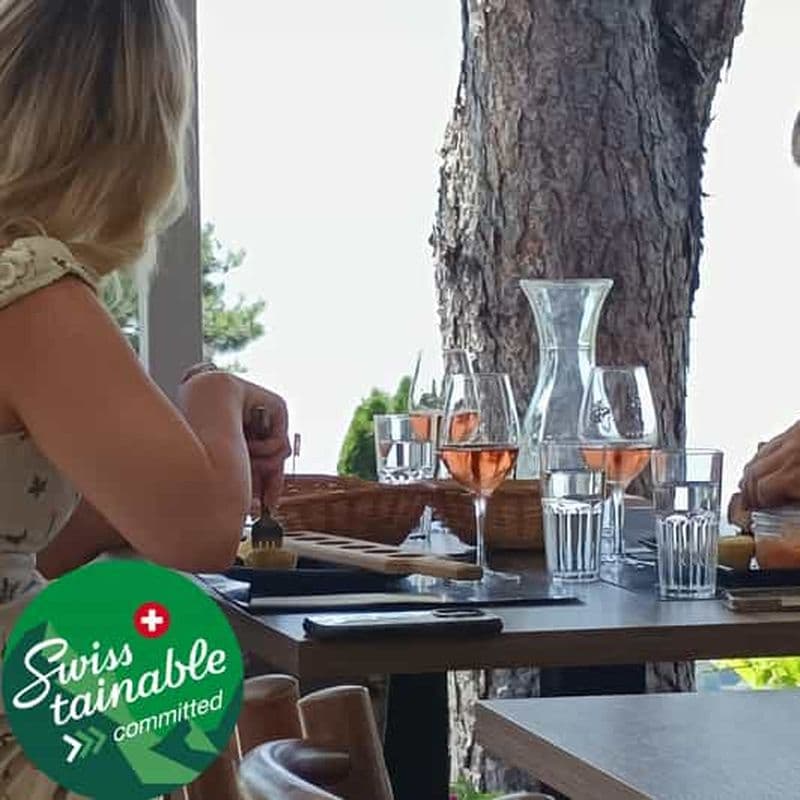 Billet Visite œnologique dans le canton de Vaud - Vignobles de Lavaux