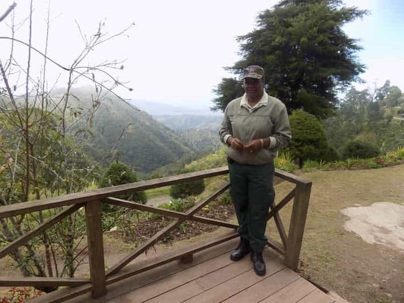 Billet Au départ de Kingston : Randonnée et visite du café de Blue Mountain