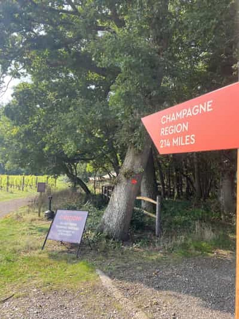 Billet Fly & Vine Gatwick : Transfert du Wine Tour vers les hôtels de Brighton