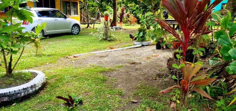 Billet Tailevu : Croisière d'observation des dauphins et atelier de tissage