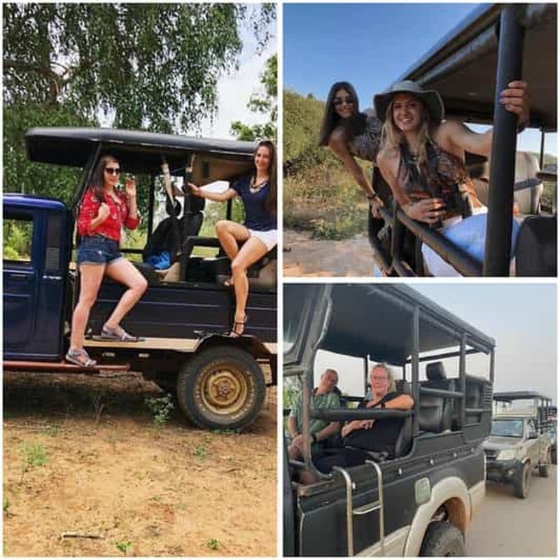 Billet Ella : safari au parc national d'Uda Walawe avec prise en charge