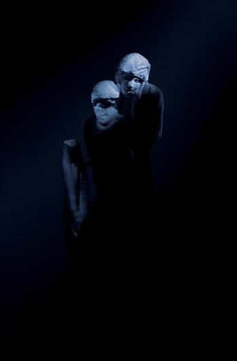 Billet Musée MAXXI : Mother de Robert Wilson