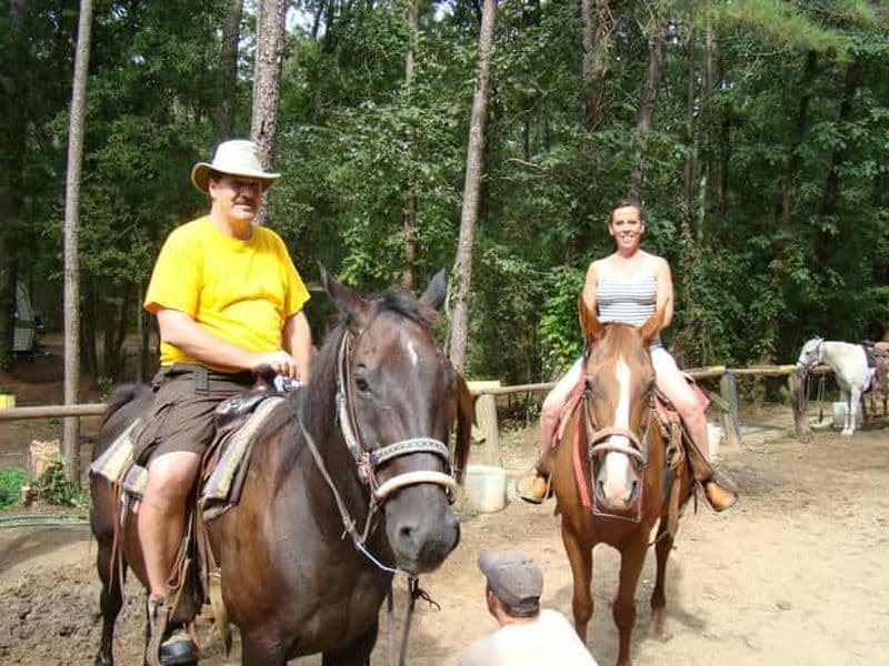Billet Agadir : Visite guidée à cheval de la forêt et des dunes de sable
