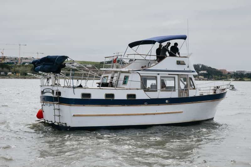 Billet Porto : Fête d'anniversaire exclusive à Innisfree Classic Boat 3h