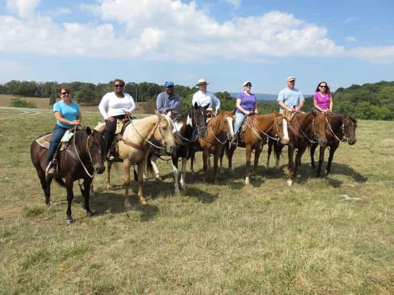Billet Agadir : Randonnée à cheval guidée le long de la rivière des Flamants avec thé