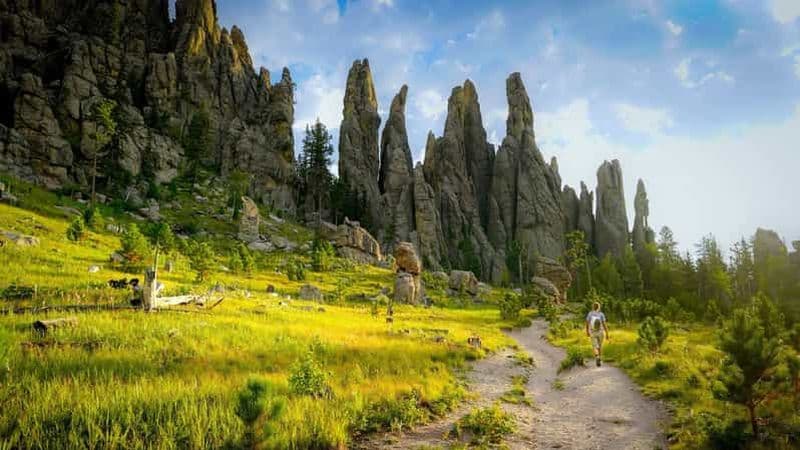 Billet Depuis Rapid City : Mt Rushmore-Crazy Horse-CSP Wildlife Loop