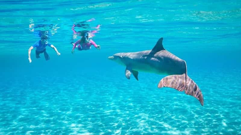 Billet Hurghada ou Makadi : Découvrez la magie de Dolphin House