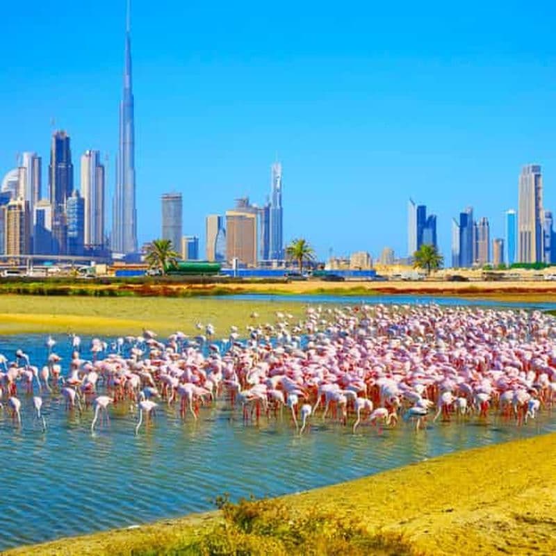Billet Dubaï : Visite de la ville, faune et flore, lac de l'Amour, souks d'or et d'épices
