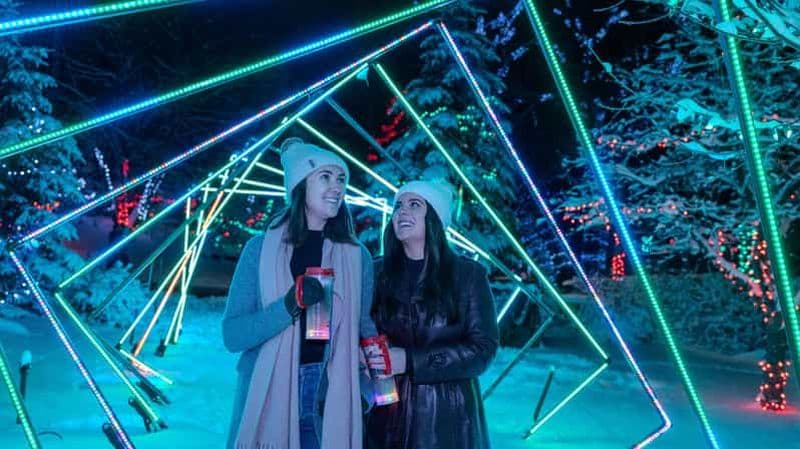 Billet Billet d'entrée pour ZOOLIGHTS