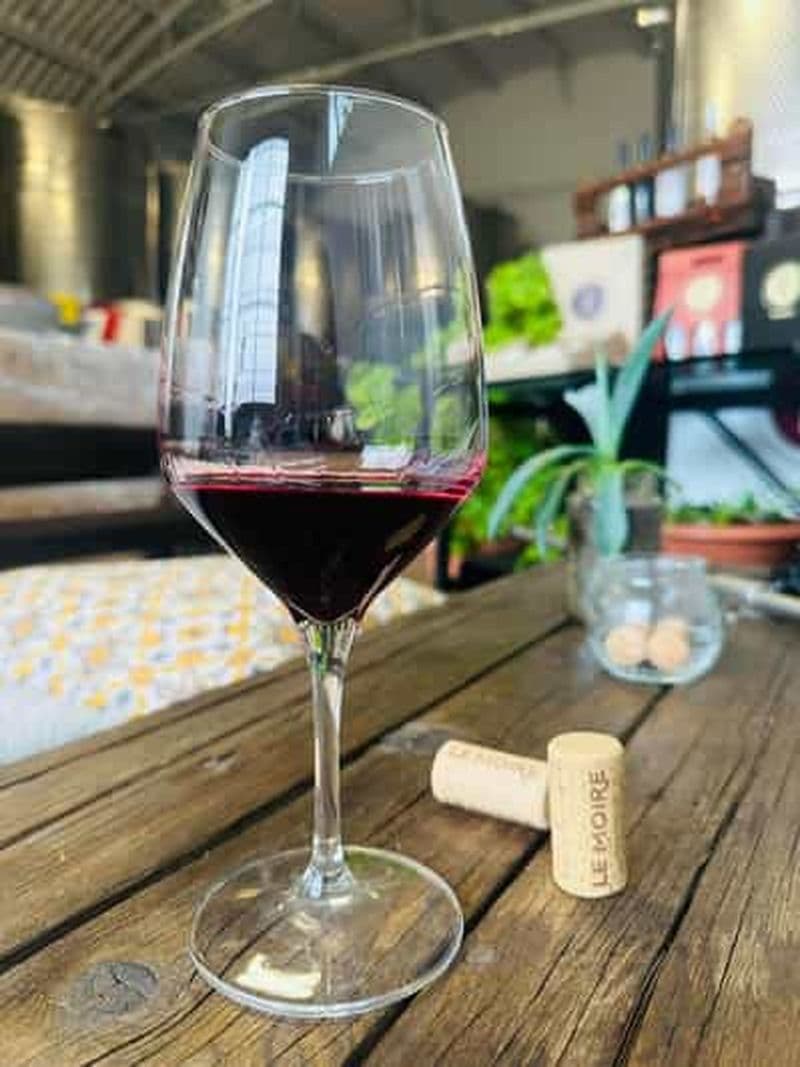 Billet Savuto : Visite des vignobles et de la cave avec dégustation